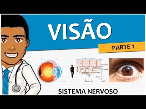 Sistema Nervoso 16 – Visão Parte 1: O Olho e a Retina - Anatomia e Fisiologia Vídeo-aula