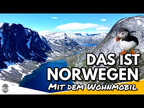 SPEECHLESS | Amazing ROADTRIP to the PUFFINS on the island of RUNDE