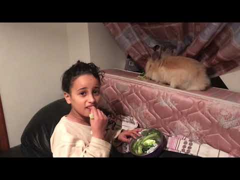 Izdihar et le lapin!