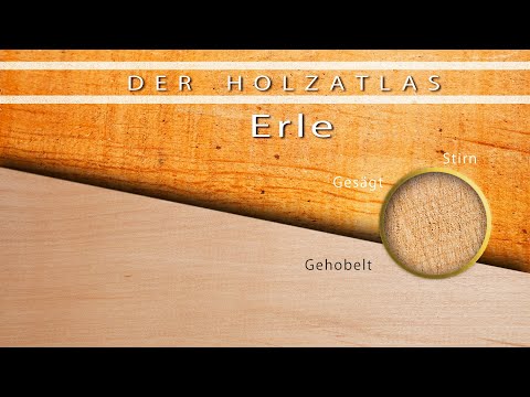 Erle - Das Chamäleon unter den Hölzern!