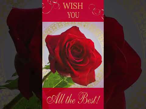 🎶💗BEST OF LUCK🎶💗ART #wish #wishes #bestwishes