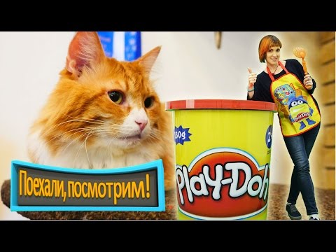 КОТИКИ, Маша Капуки и Плей До - Кошачье кафе Поехали Посмотрим! Развивающее видео для детей