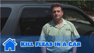 Home Pest Control : How to Kill Fleas in a Car