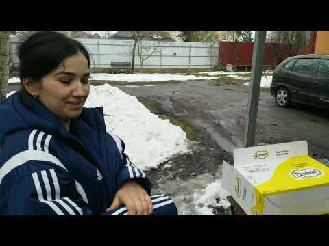 Happy birthday Nicoleta