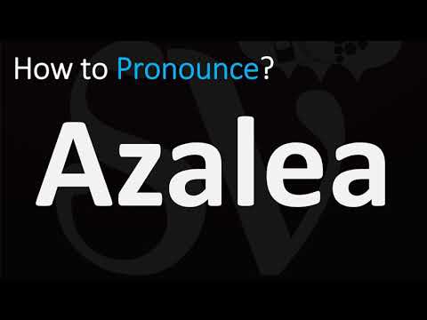 How to Pronounce Azalea? (CORRECTLY)