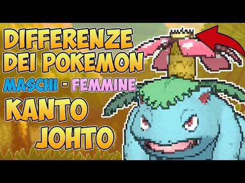 Tutte Le Differenze Dei Pokemon Maschi E Femmine Della Regione Di Kanto E Johto!!