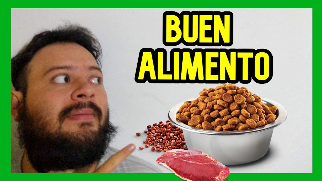 Alimento para perro bueno y Economico
