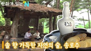 자연에서 만든 진짜 명품 술, 송로주