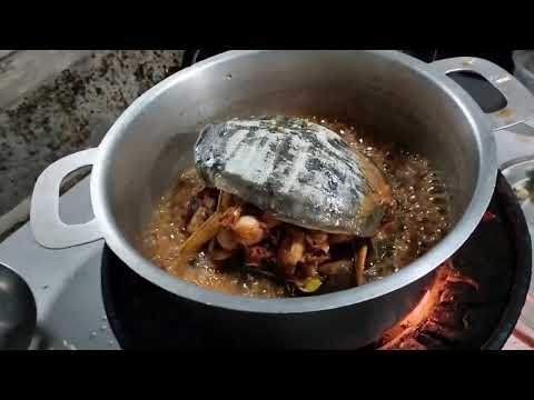 STEAMED SOFTSHELL TURTLE WITH CHINESE MEDICINE | SPICY GRILL SOFTSHELL TURTLE