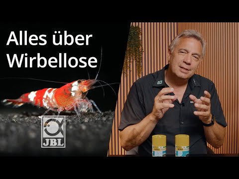 JBL TV #72 Garnelen & Krebse im Aquarium I Steckbrief