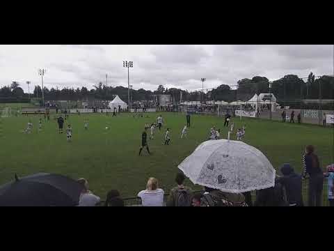 Dragan Mance Cup - Finale / Žarkovo - Balkan