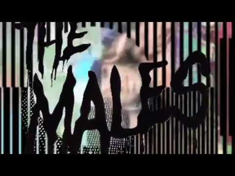 THE MALES - 'HER GOLDEN BLOOD' EP Teaser