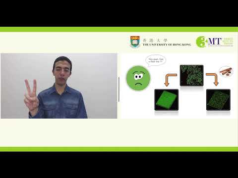 HKU 3MT Competition 2021 - Candidate #01