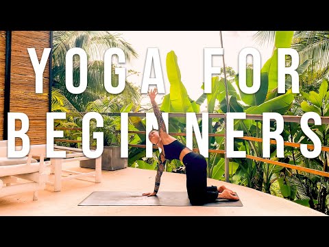 Yoga for Complete Beginners - 25 minute Slow, Gentle, Relaxing, Beginner Stretch Yoga Workout