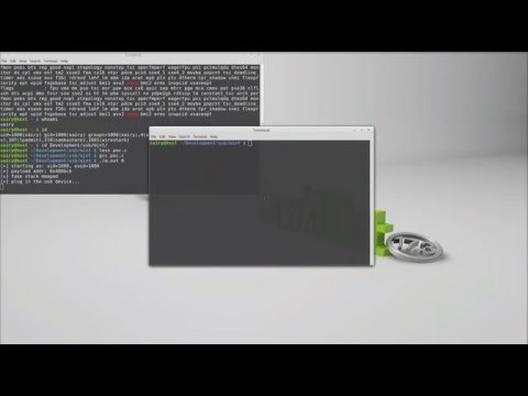 CVE-2016-2384: Linux Kernel Proof-of-Concept Exploit Demo