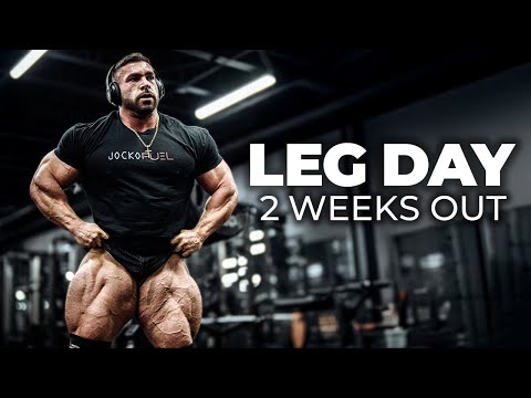 Mr Olympia Derek Lunsford | 2 Weeks Out Leg Day with Ramon Dino