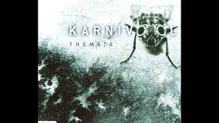 Sleeping Satellite - Karnivool