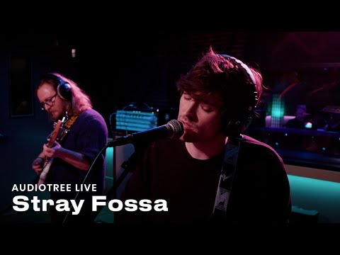 Stray Fossa - How Come? | Audiotree Live