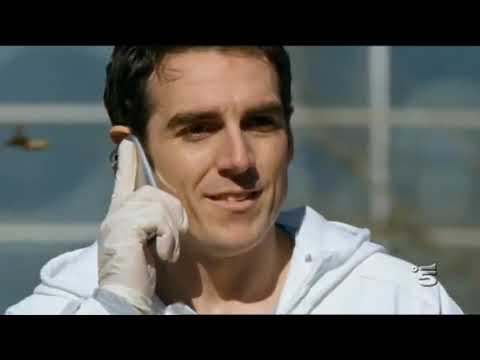 RIS Roma Orlando Serra e Anita Cescon |Sugar and Love| AU