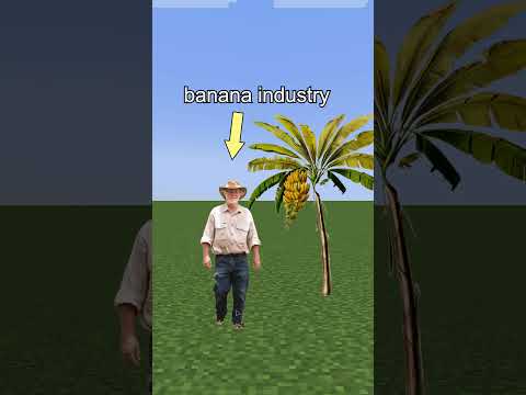 the banana that *used* to rule the world