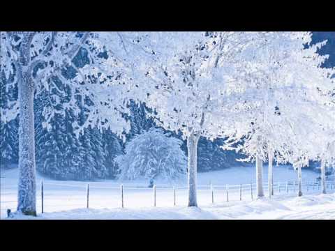 Krivuška-koki klati sniega