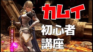 初心者向けカムイ・技＆簡単コンボ講座【スマブラSP】