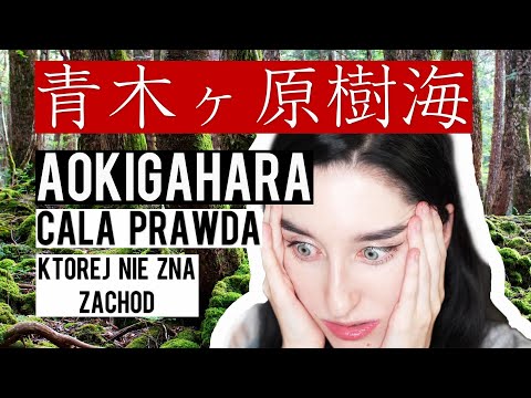 🇯🇵JAPAN🇯🇵-SUICIDE FOREST (what secret does it still hold...)