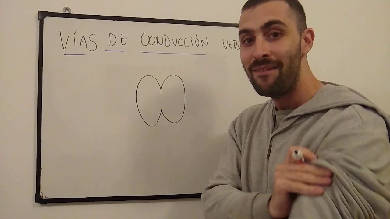 Teórico de sistema nervioso N°7 Vías de conducción nerviosas. Dr. Emiliano Tremonte