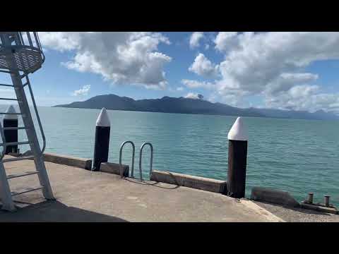 Cardwell … and Bismarck the 5 Metre Saltwater Crocodile 🐊