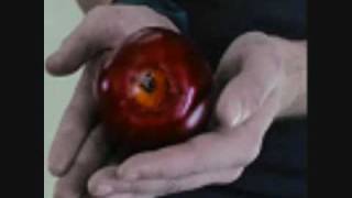 Not the One - Collective Soul