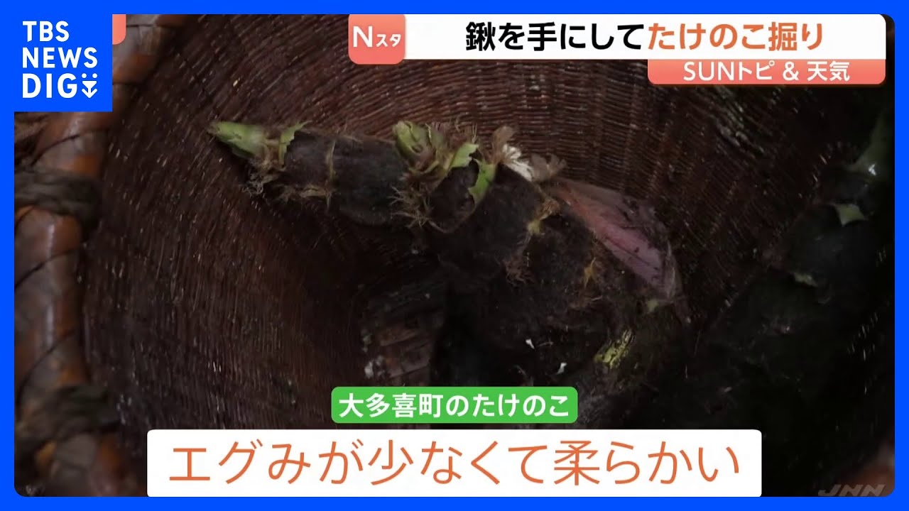 春の味覚　たけのこ料理を味わう　鍬を手にしてたけのこ掘り　山口農園　千葉・大多喜町【SUNトピ】｜TBS NEWS DIG