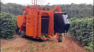 Download lagu COLHEDEIRA DA JACTO K3000 #agro #cafeicultura #agricultura #roça #colhedeira mp3 Download lagu COLHEDEIRA DA JACTO K3000 #agro #cafeicultura #agricultura #roça #colhedeira mp3