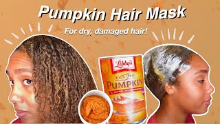 Download lagu Try This Pumpkin Hair Mask for Hair Growth! | Curly Hair Care mp3
