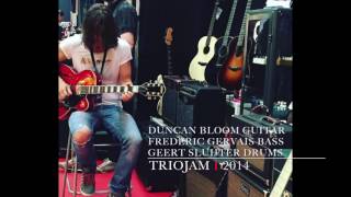 Duncan Bloom - Frederic Gervais - Geert Sluijter (TrioJam 1 2014)