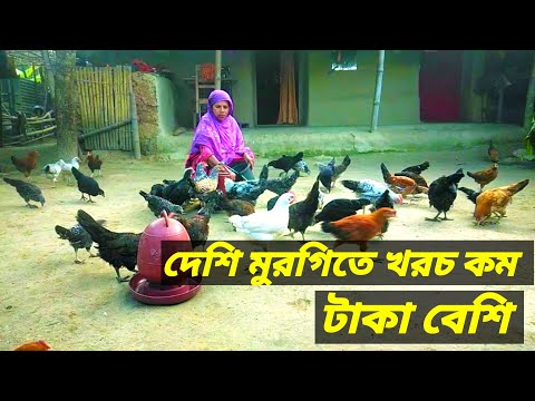 এভাবে পাললে যে কেউ লাভ করতে পারবে। Desi Murgi Palon in Home
