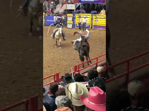 Wow he stayed in their for a while#shorts