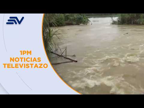 Montalvo Los Ríos: Corrales de cerdos, patos y gallinas quedaron destruídos | Televistazo | Ecuavisa