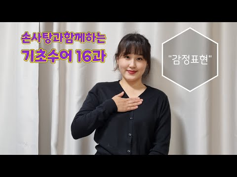 「감정」의 한국수어 표현