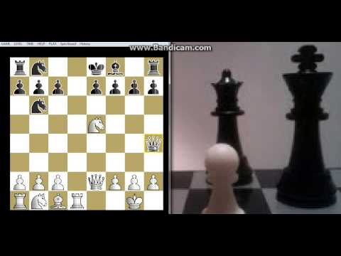 Mamac u sahu i jos jedna izgubljena Dama - LUER vs RATTMAN -  Aljehinova odbrana # 286