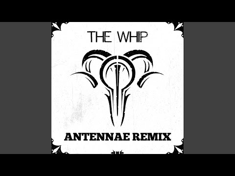 The Whip (An-Ten-Nae Remix)