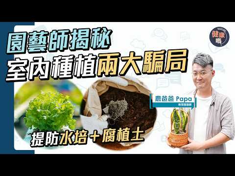 園藝界商家2大騙局 害死植物兼危害身體？不做植物殺手！正確打理 避4大健康隱憂｜換土換盆成重點！｜健康嗎@HealthCodeHK 【Chat醫D】#houseplant #打理盆栽