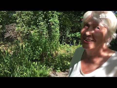 Deer in the garden – what to do?