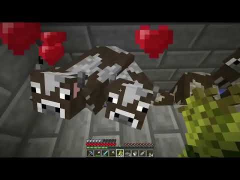 Minecraft pro začátečníky (72. díl)- Kravín (Poslední dochovaná epizoda)