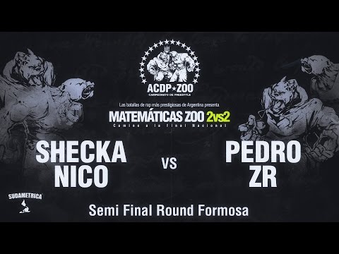 SHECKA y NICO vs PEDRO y ZR - Semi Final ACDPZoo 2vs2 Round Formosa