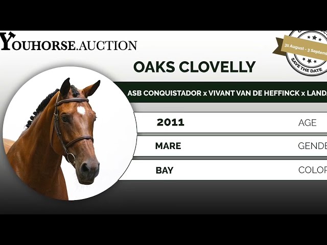 Oaks Clovelly ridden by child