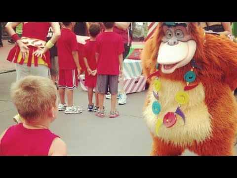 Back day: Spring cut - PB2?