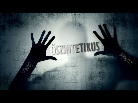 T'Boy & DaWiz - Őszintetikus