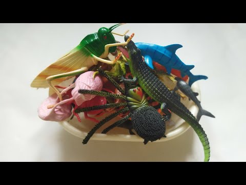 Zoo animal figure Unboxing and  Review-snake dinosaurus lion giraffe#asmr#unboxing#seaanimals