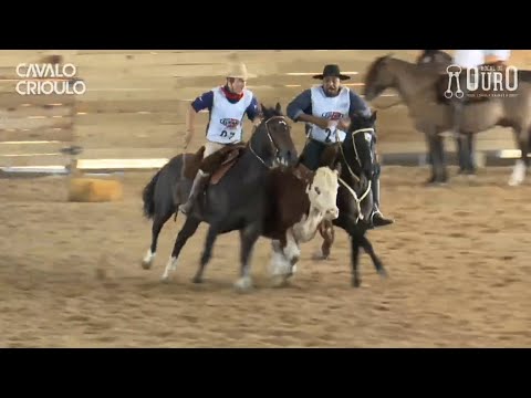 Tertúlia do Ouriço • Melhor Prova de Campo I das Fêmeas no Bocal de Ouro 2024