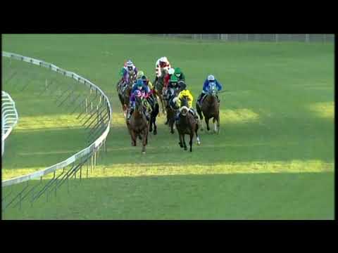 20200620 Hollywoodbets Greyville express clip Race 10 won by WONDERWALL